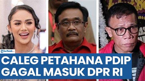 Caleg Petahana Pdip Diprediksi Gagal Masuk Dpr Ri Krisdayanti Djarot