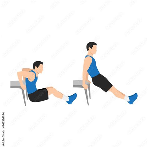 Man Doing Chair Bench Tricep Dips Exercise Flat Vector Illustration