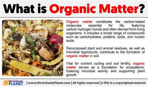 What is Organic Matter