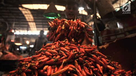 Kemarau Panjang Harga Cabai Rawit Merah Tembus Rp 110 Ribu Per Kg