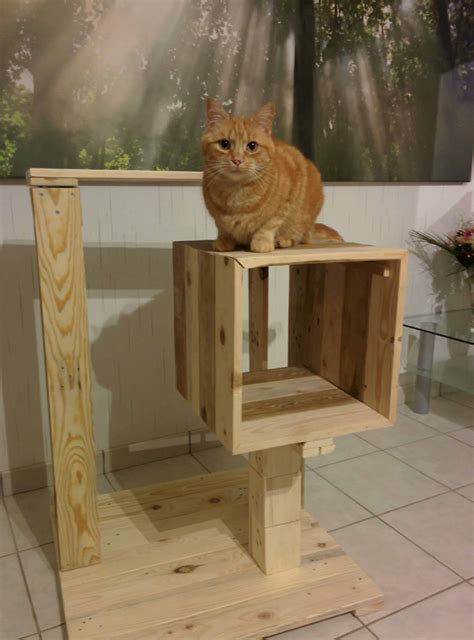 Petite Pallet Cat Tree Arbre à Chat 1001 Pallets