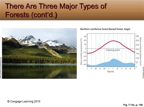 Climate And Biodiversity Ppt Download