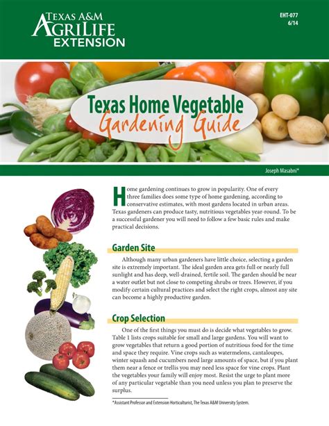 Texas Home Vegetable Gardening Guide