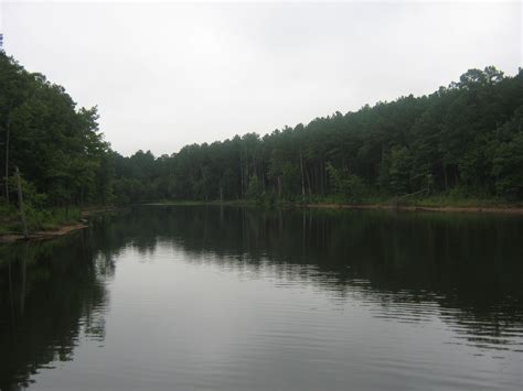 Fishing, swimming, boating @ Falls Lake, NC