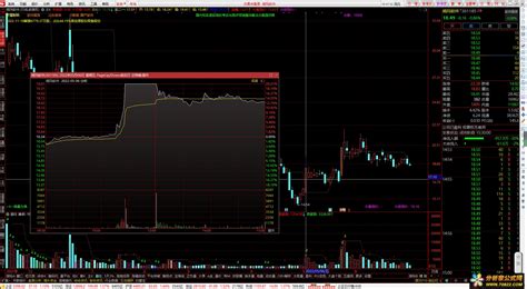 通达信涨跌停变色指标（适配主图） 分析家公式网