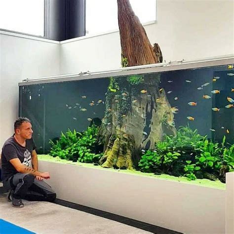 Pin By Gabriel Solano On Gardening And Design Amazing Aquariums