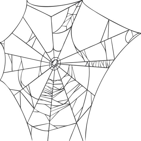 Spider Web Isolated On White Background Realistic Hand Drawn Line