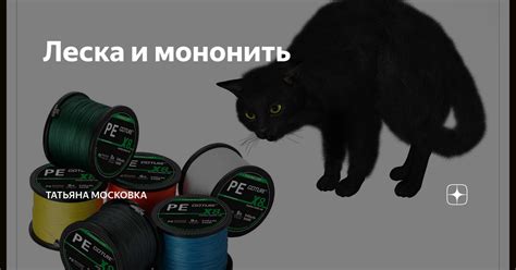 Леска и мононить | Заметки сумасшедшей рукодельницы | Дзен