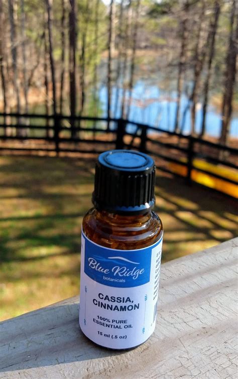 Cassia Essential Oil - Blue Ridge Botanicals