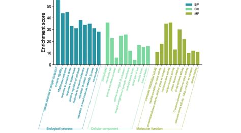 GO analysis of anti liver cancer targets of zedoary turmeric... | Download Scientific Diagram