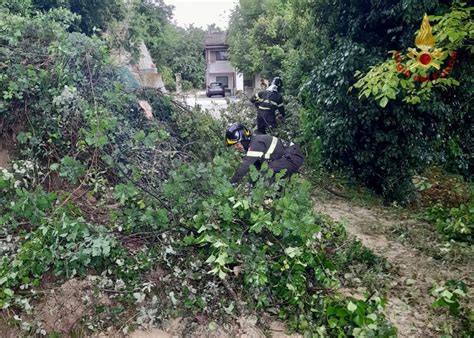 Maltempo Nelle Marche Allerta Alluvione A Senigallia