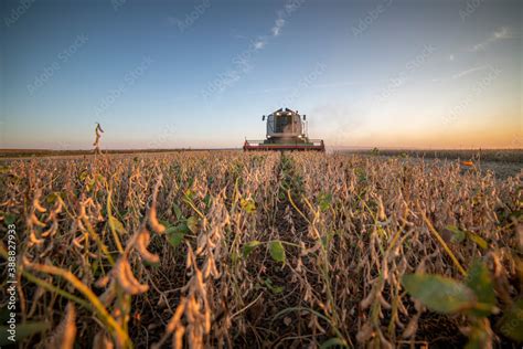 Harvesting of soybean Stock Photo | Adobe Stock