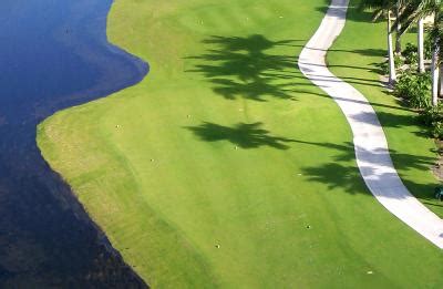 Plantation Preserve Golf Course & Club in Plantation | VISIT FLORIDA