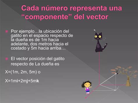 Magnitudes Escalares Y Vectoriales PPT