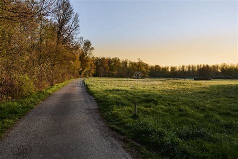 Scenic Countryside Landscape With Footpath Stock Image Image Of