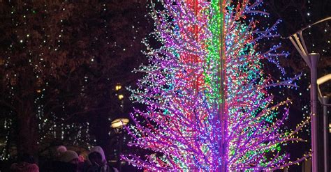 Colorful Tree Decorated with Christmas Lights · Free Stock Photo