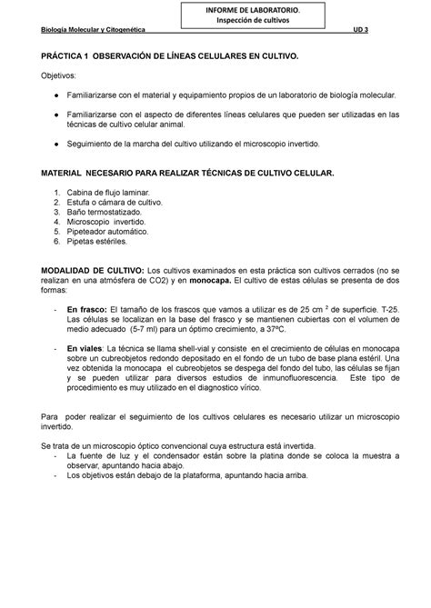 Practica Práctica sobre recuento de eritrocitos 35 È 7 2 6