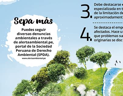 Bosques Infografia Projects Photos Videos Logos Illustrations And