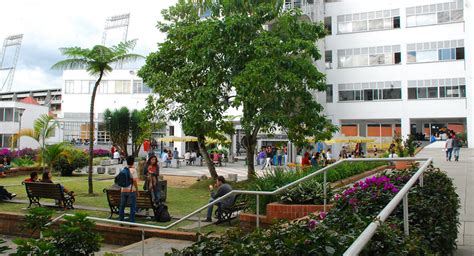 Universidad Nacional De Colombia Sede Manizales La U N Pionera En