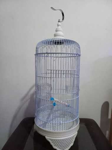 Jual Burung Kicau Bogor Original Murah Harga Diskon Desember 2022