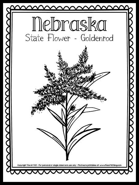 Nebraska State Flower (Goldenrod!) Coloring Page {Free Printable