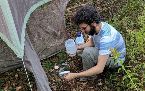 Investigating The Spread Of Invasive Species Student Engagement Network