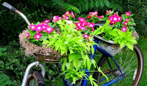 Curso De Jardinagem E Paisagismo Arte Reciclada