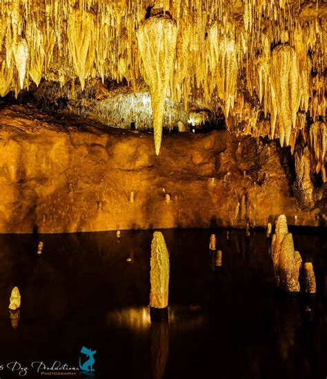 Meramec Caverns | Cavern, Cave tours, Photo