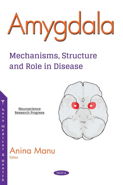 Amygdala Mechanisms Structure And Role In Disease Nova Science