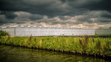 Dutch landscape on Behance