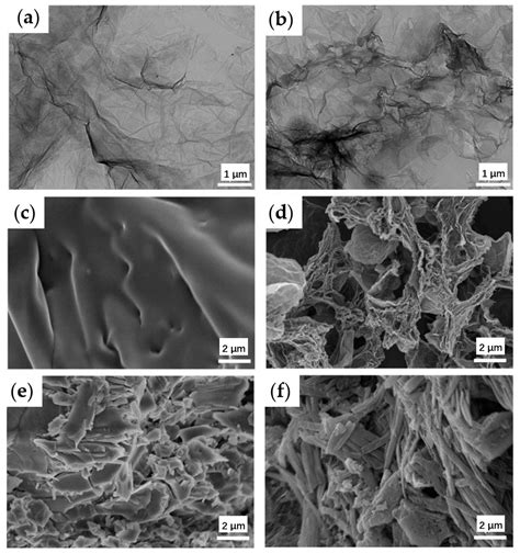 Chemosensors Free Full Text Sensing Of Digestive Enzymes—diagnosis