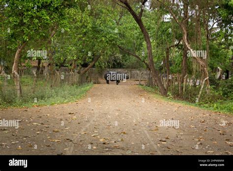 Guardaparques Del Proyecto Anticaza Furtiva Parque Nacional Chitwan