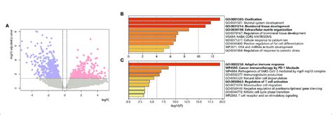 Bulk RNA Based Chemoresistant Osteosarcoma Expression Patterns A