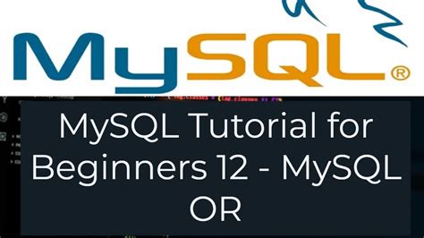 Mysql Tutorial For Beginners Mysql Or Condition By Examples Youtube