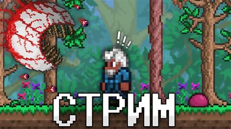 ТЕРРАРИЯ, Но ЭТО СТРИМ! TERRARIA СТРИМ! ТЕРРАРИЯ ПРОХОЖДЕНИЕ! - YouTube