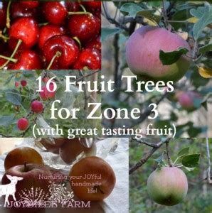 21 Tips for Zone 3 Gardening Success for a Harvest You Can Count On - Joybilee® Farm | DIY ...