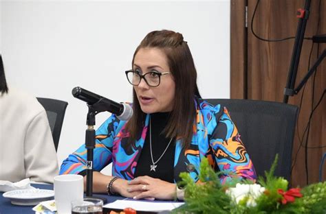 Preocupa a la diputada Reyna Flor Báez Lozano afectación al turismo