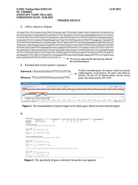 Primer Design | PDF | Primer (Molecular Biology) | Gene