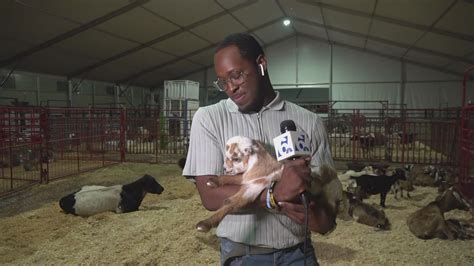 Heart O Texas Fair And Rodeo Returns To Waco Kcentv