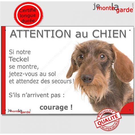 Teckel poils durs fauve Tête Panneau Attention au Chien marrant drôle