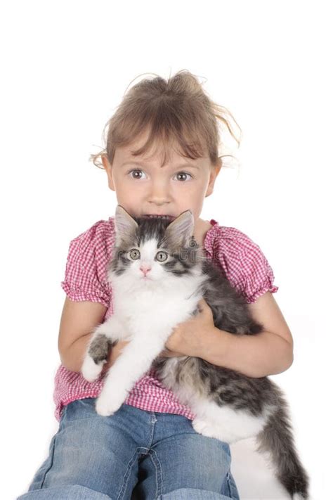 Petite Fille Avec Le Chaton Domestique Image Stock Image Du Fond