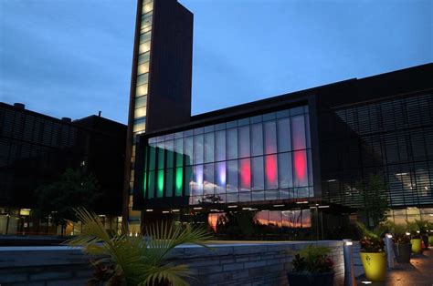 forza azzurri  city  vaughan celebrates  euro cup italy win