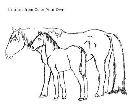 Mare And Foal Coloring Pages at GetColorings.com | Free printable colorings pages to print and color