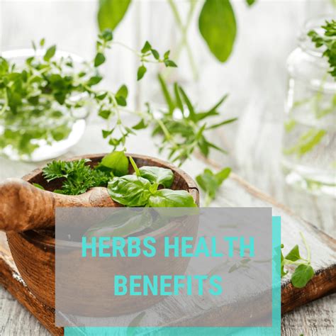 The Health Benefits of Herbs - Form Fit Online