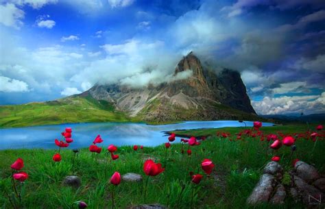 full size nature wallpaper  laptop hd  infoupdateorg