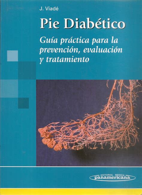 Pie Diabetico Guia Practica Para La Prevencion Evaluacion Y