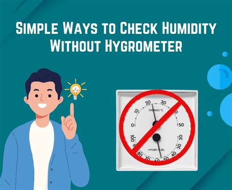 How To Test Humidity Without Hygrometer Best Ways