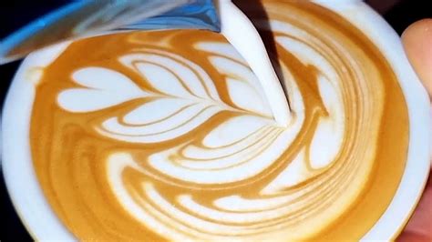 Wing Tulip Latte Art Tulpe Youtube