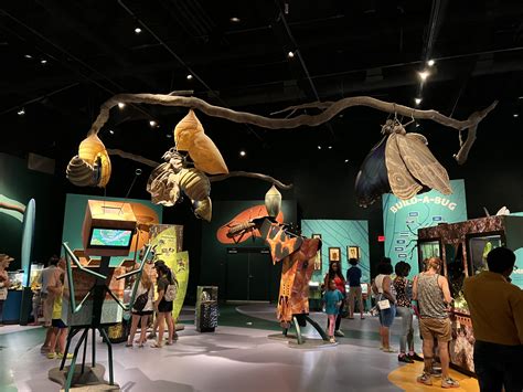 Experience the Audubon Aquarium and Insectarium | Explore Louisiana