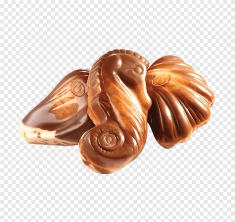 Guylian Chocolate Seashells Png Pngegg